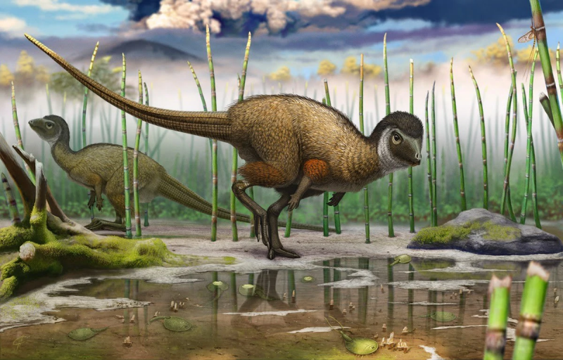 Proceratosaurus bradleyi