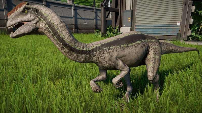 Proceratosaurus bradleyi