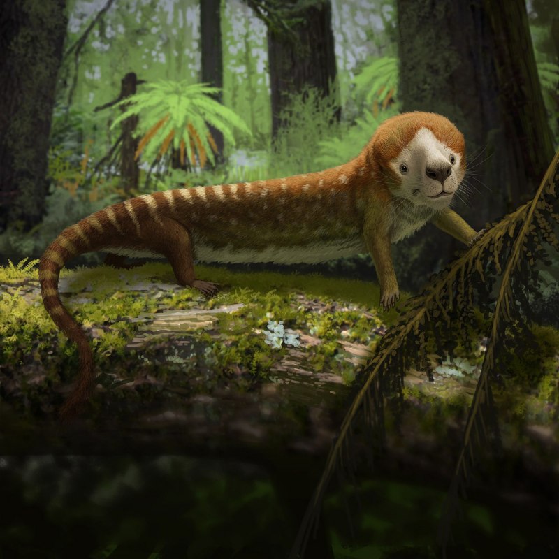 Jurassic World Evolution Спинораптор