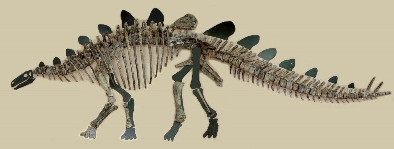 Процератозавр Jurassic World