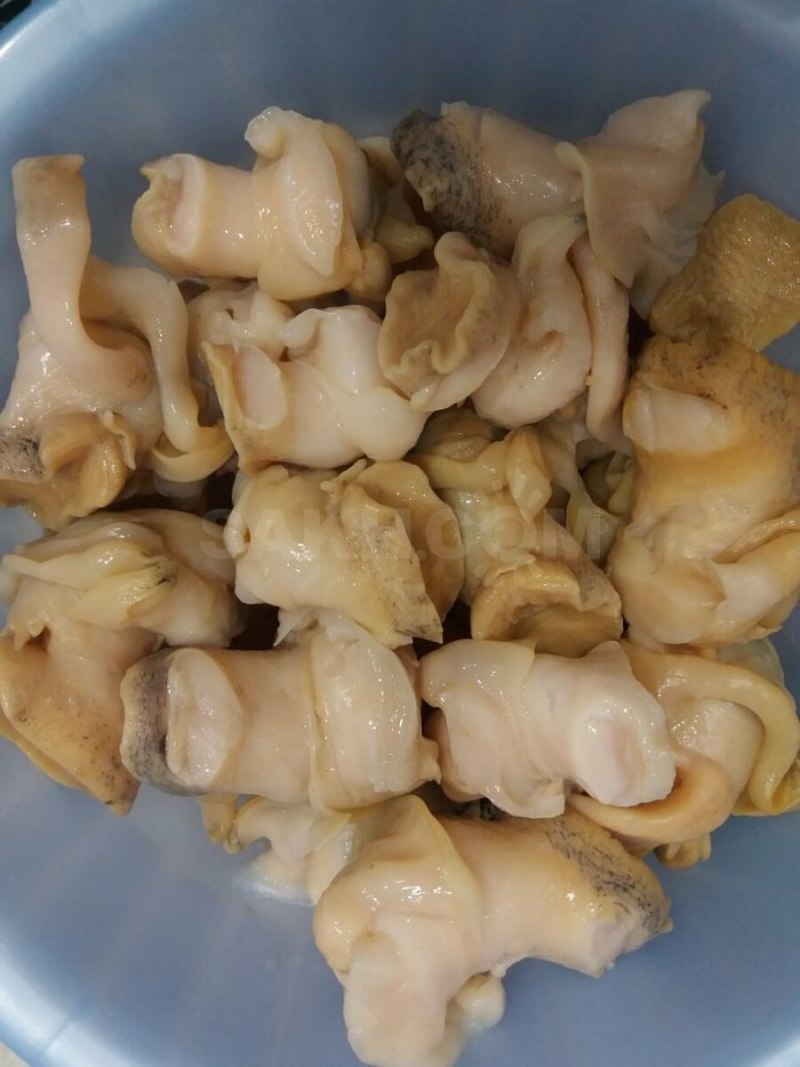 Ракушка трубач Дальневосточный