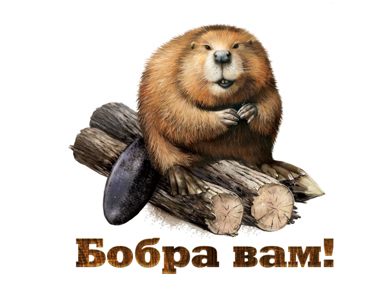 Фото бобра речного