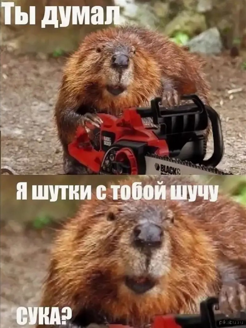 Бобер мультяшный