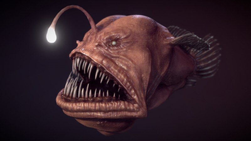 Морской чёрт удильщик