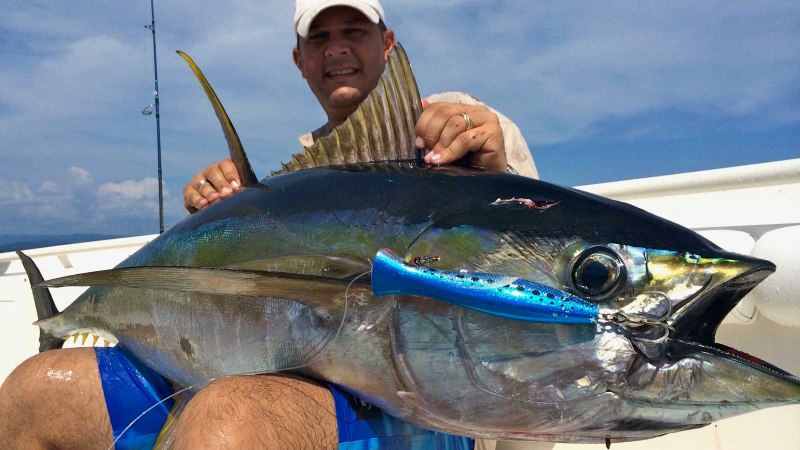 Тунец Bluefin