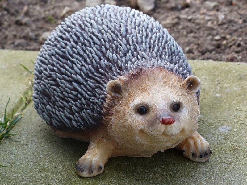 Китайский ёж