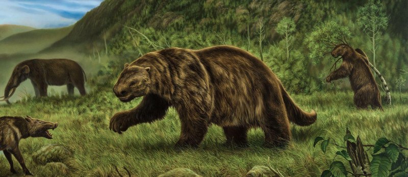 Смилодон и Короткомордый медведь