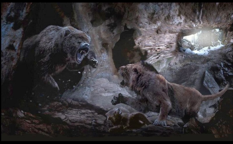 Пещерный медведь Ursus spelaeus