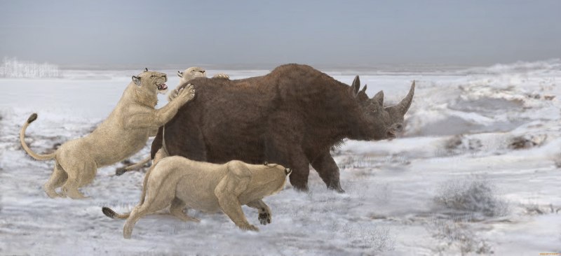Берберский Лев