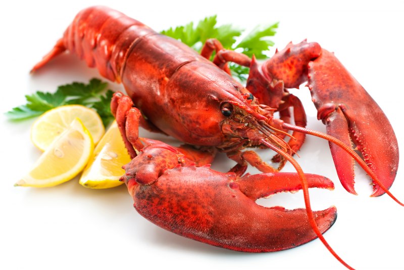 Каунцы колючки