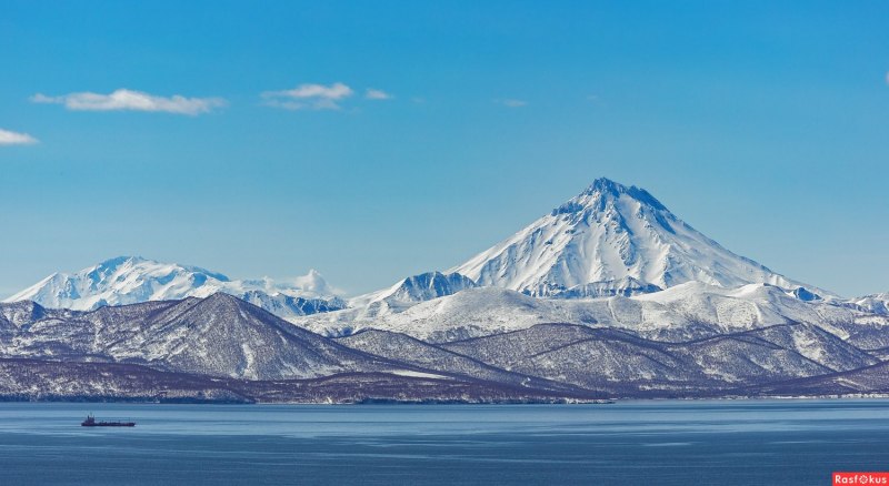 Белоплечий Орлан Хабаровский край