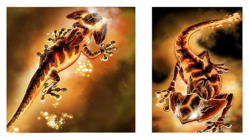 Flame Salamander (Огненная саламандра)