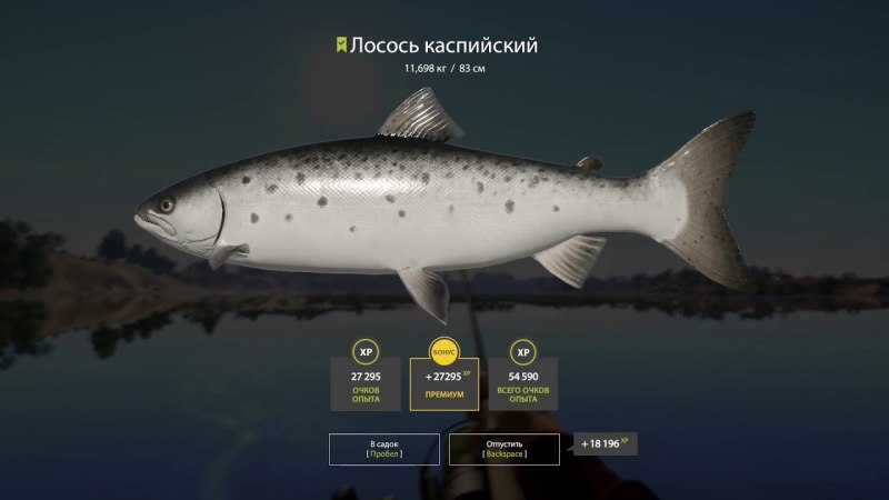 Русская рыбалка 3 1 Урал лосось Каспийский