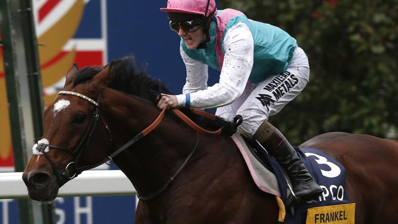 Frankel лошадь