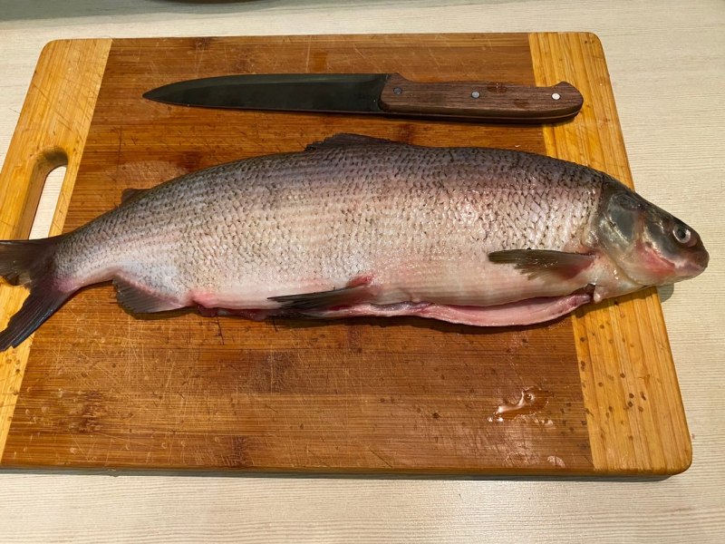 Рыба щокур(Чир)