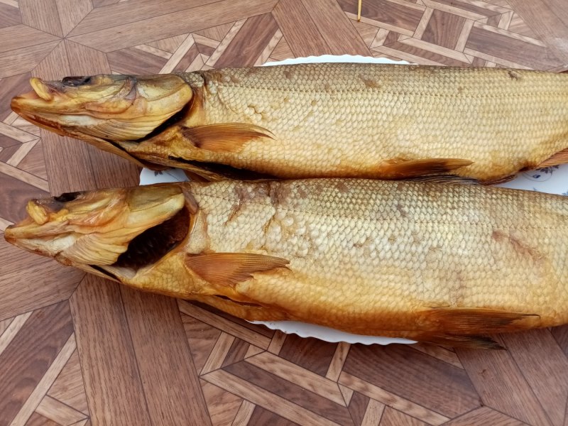 Пелядь Нельма