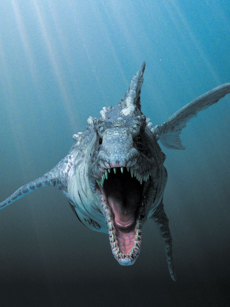Акулозавр Dinoshark, 2010