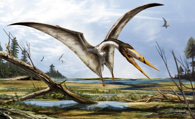 Pterosauria динозавр