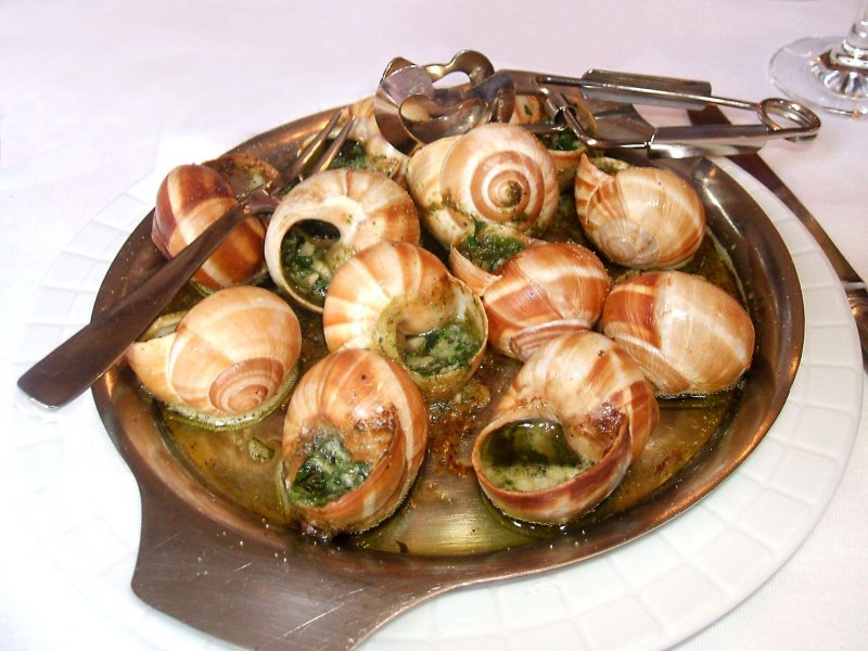 Улитка трубач аквариумная