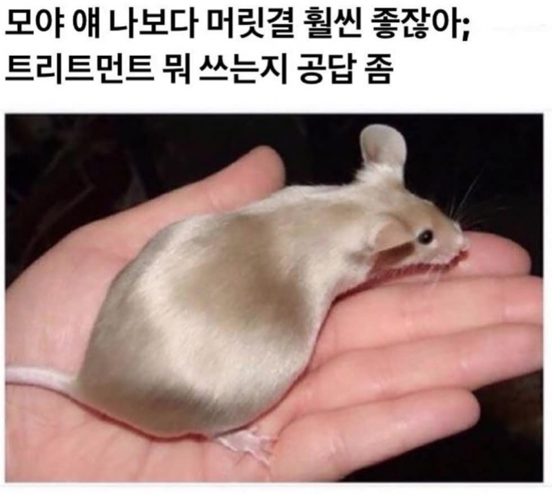 Мыши сатиновые Дамбо