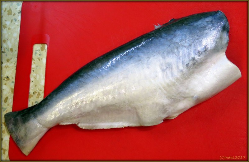 Жемчужная морская пангасиус рыба