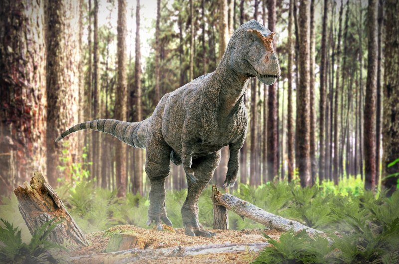 Megalosaurus bucklandii