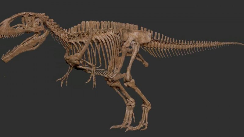 Megalosaurus bucklandii