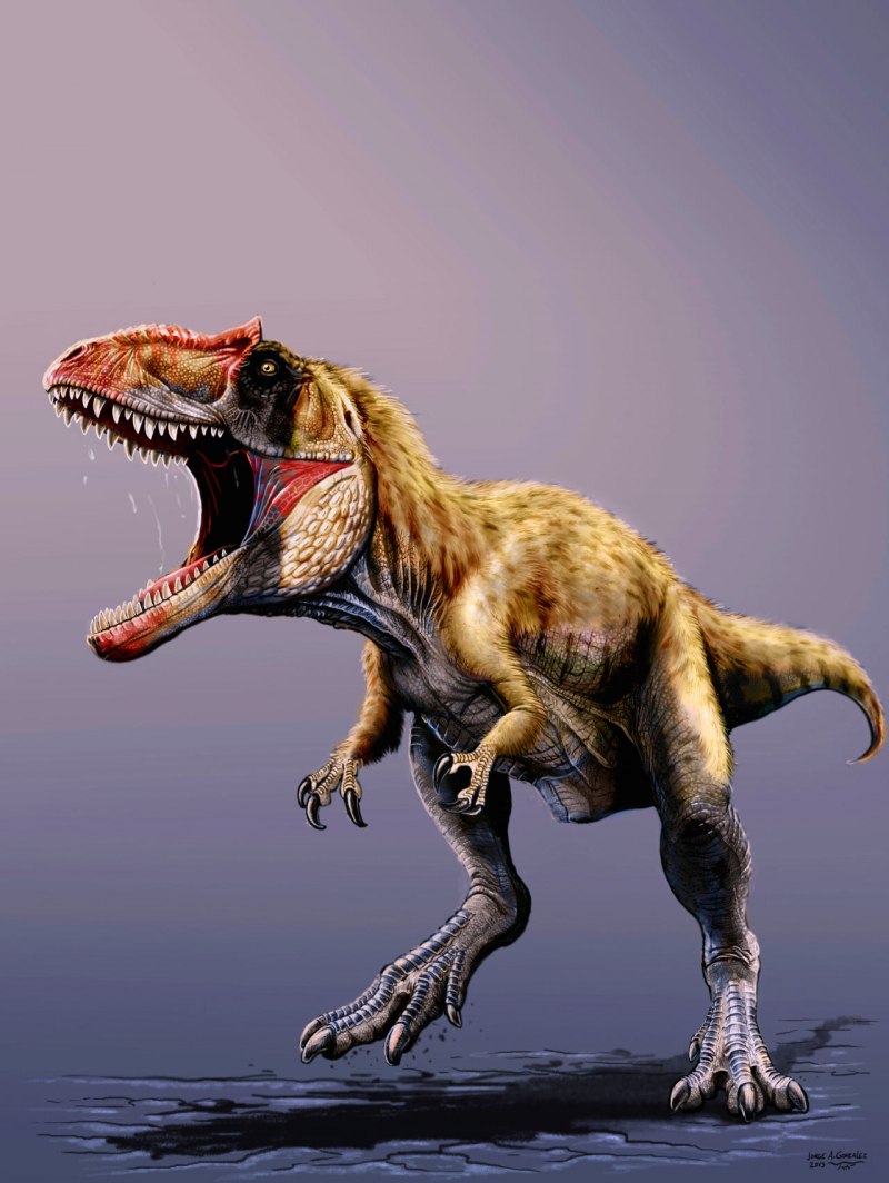 Танур динозавр (58 фото)