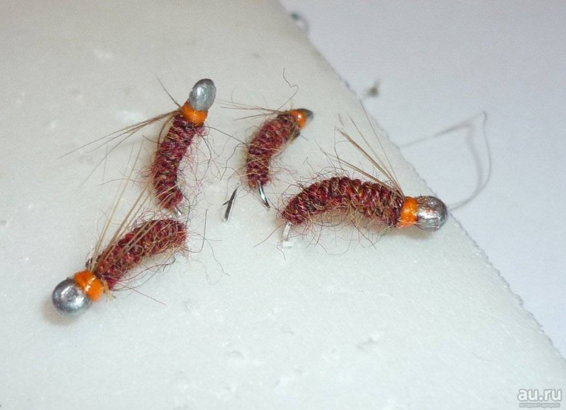 Сибирский хариус - Thymallus arcticus