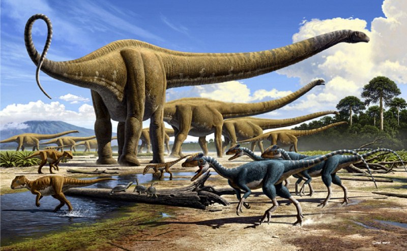 Mamenchisaurus Sinocanadorum