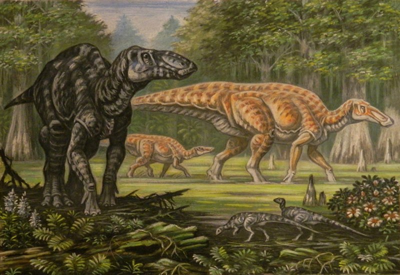 Edmontosaurus annectens