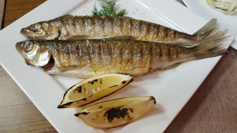 Омуль Байкальский