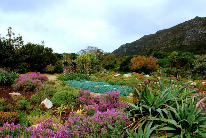 Eastern Cape Province