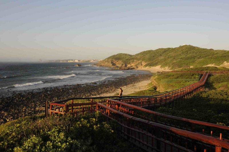 Coastal Dune