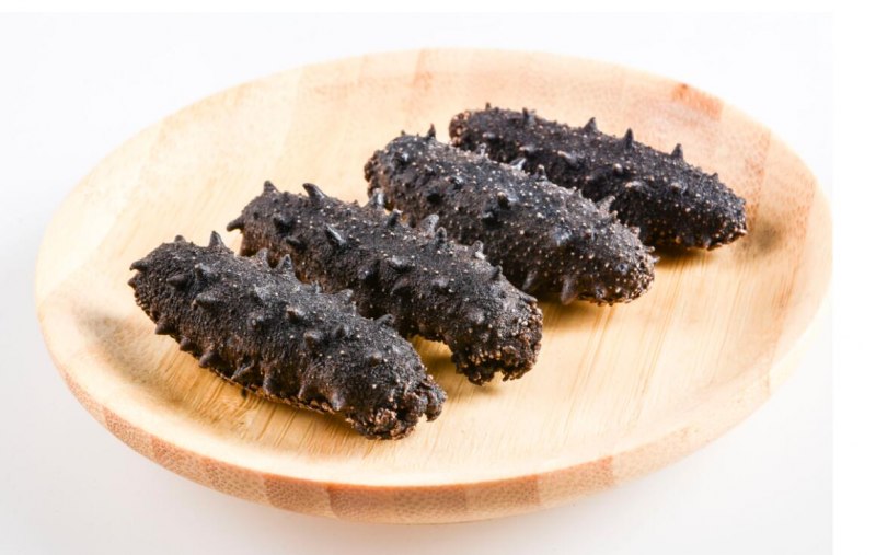 Розовый морской огурец