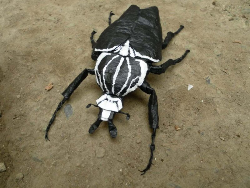 Жук Goliathus