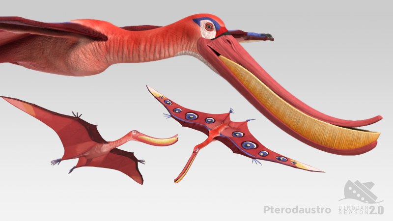Pterodaustro guinazui