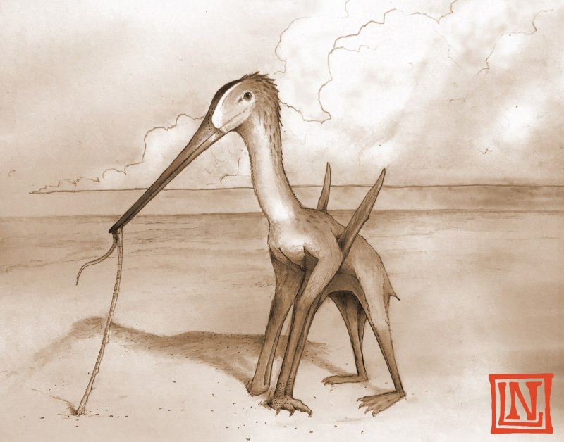 Pterodaustro guinazui