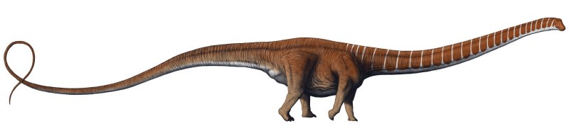 Барозавр (Barosaurus)