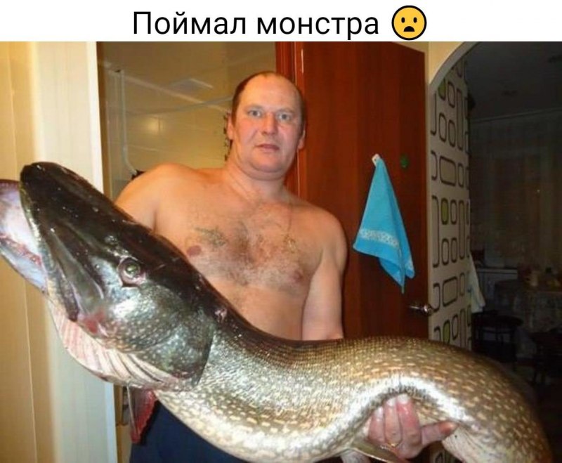 Уссурийская Касатка
