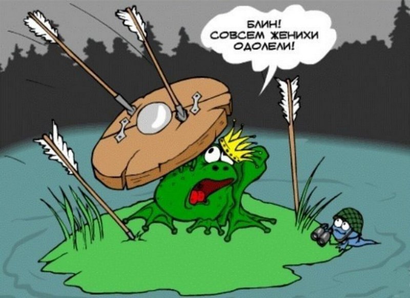 Царевна лягушка прикол