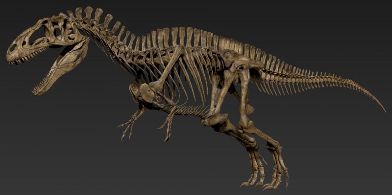 Acrocanthosaurus скелет