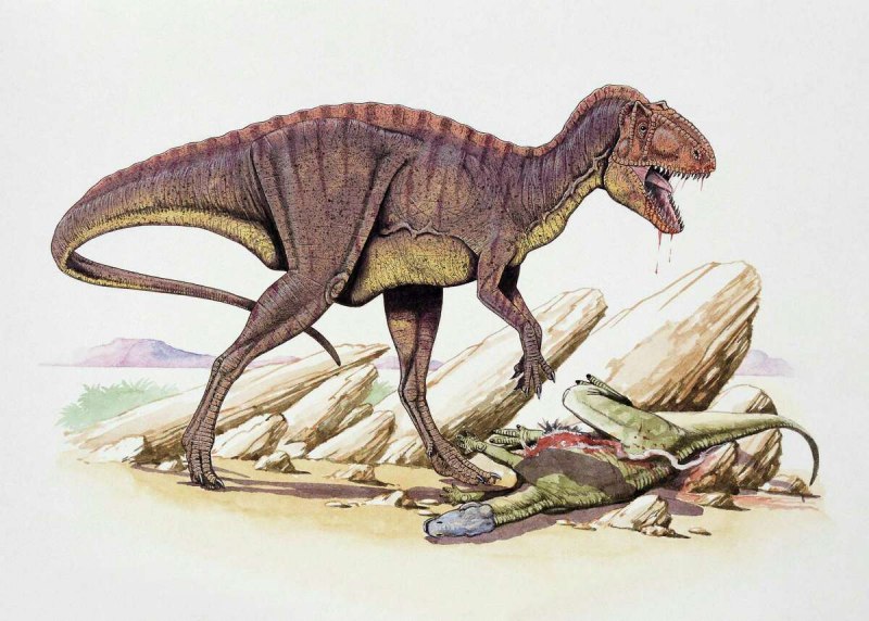 Julius Csotonyi