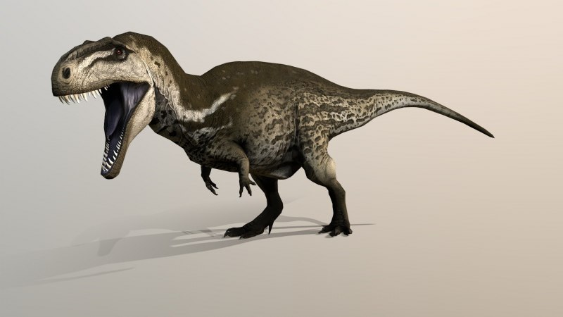 Acrocanthosaurus Atokensis