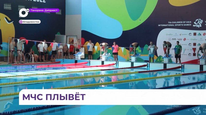 Тигр Дальневосточный Амурский