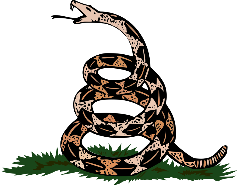 Змейка либертарианцев