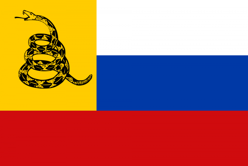 Флаг либертарианцев России