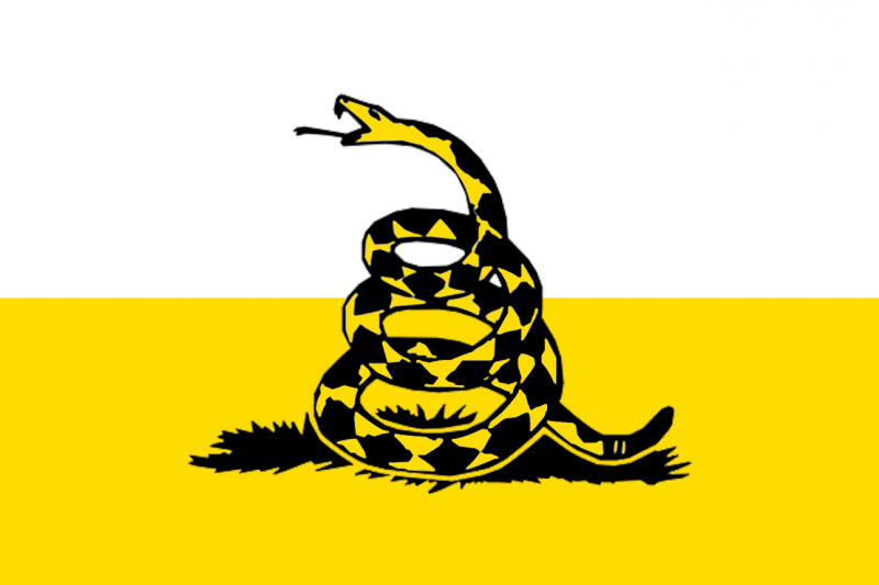 Флаг либертарианцев