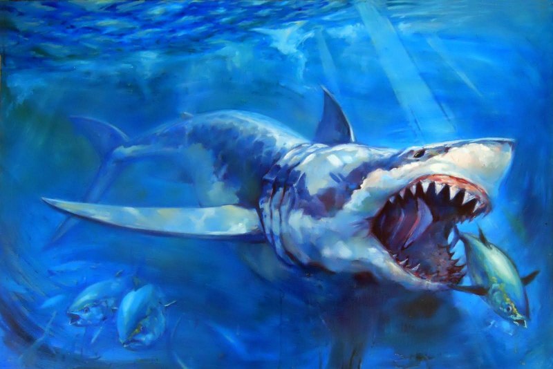 Гигантская акула (basking Shark)