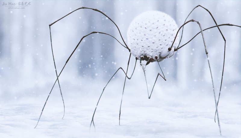 Снежный паук (60 фото)